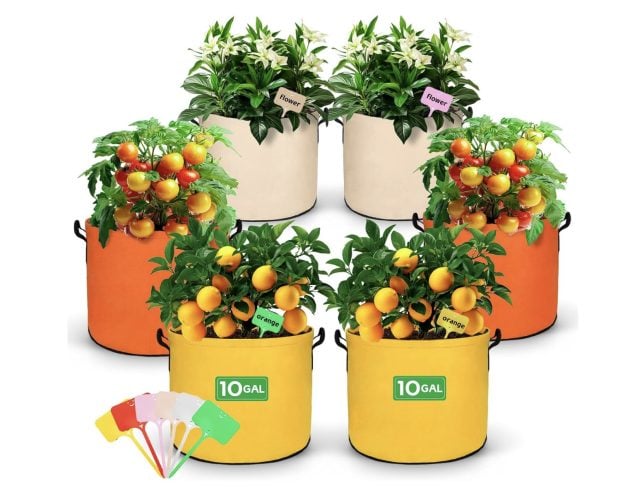 10 Gallon Plant Grow Bags